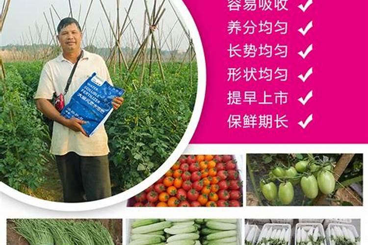 种花叶面肥多久喷一次 花卉叶面肥使用频率是多久为宜？