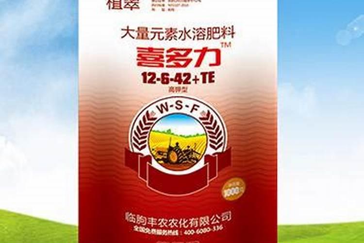 法师扦插后多久浇水