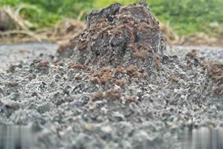 改善土壤板结用什么肥料