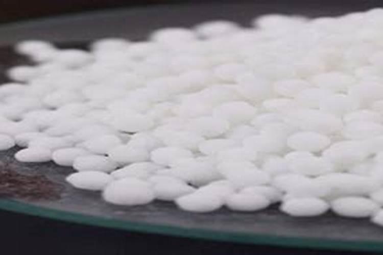 请问老师种白菜萝卜,施什么肥？