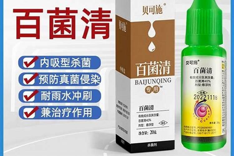 怎么治疗果树炭疽病