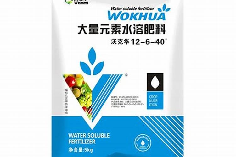 菠萝皮泡水可以浇花吗 菠萝皮泡水能不能浇花