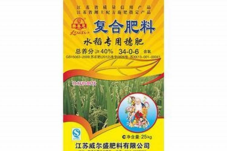 君子兰浇水的正确方法