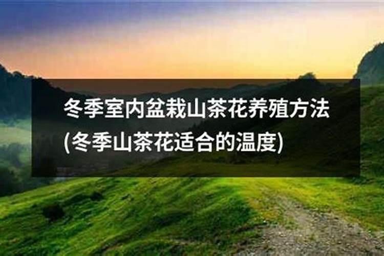 氮肥不能和什么混合使用