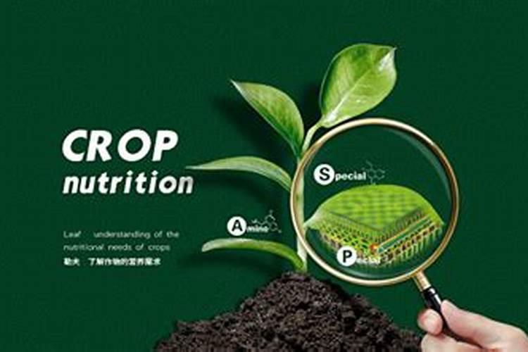 茄子底肥用什么肥料好？底肥用什么化肥好？