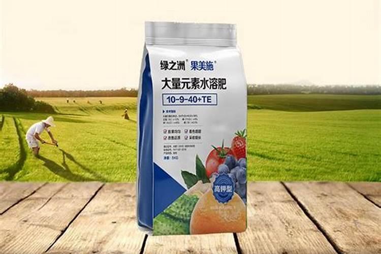 大棚西瓜如何种植？大棚西瓜栽培有哪些技术？