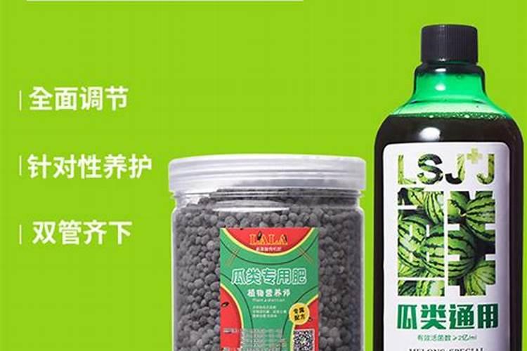 苦瓜用什么肥料最好