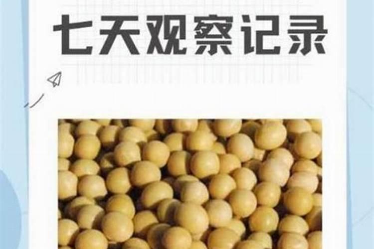 黄豆喜欢什么肥料