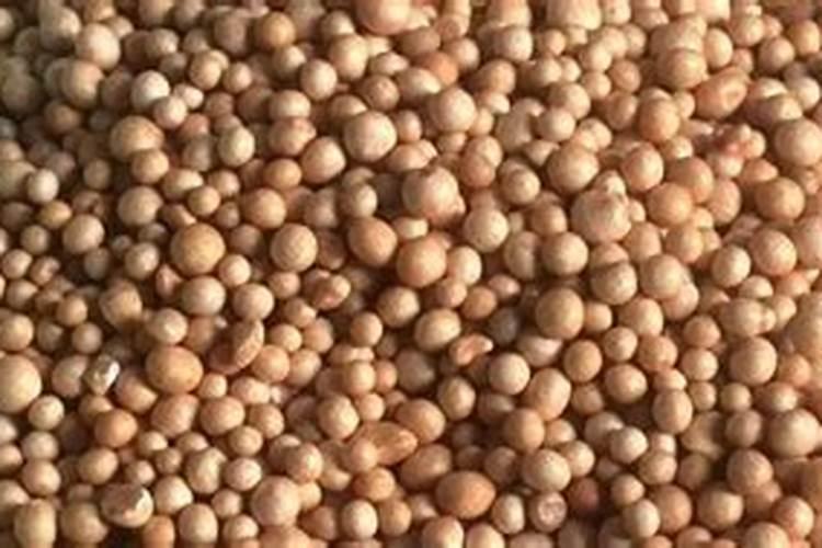 一亩地用多少硼肥