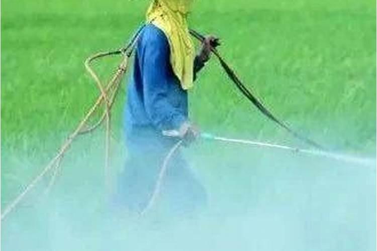 叶面肥和农药可以混在一起使用吗 常用叶面肥与农药混用先后顺序百度...