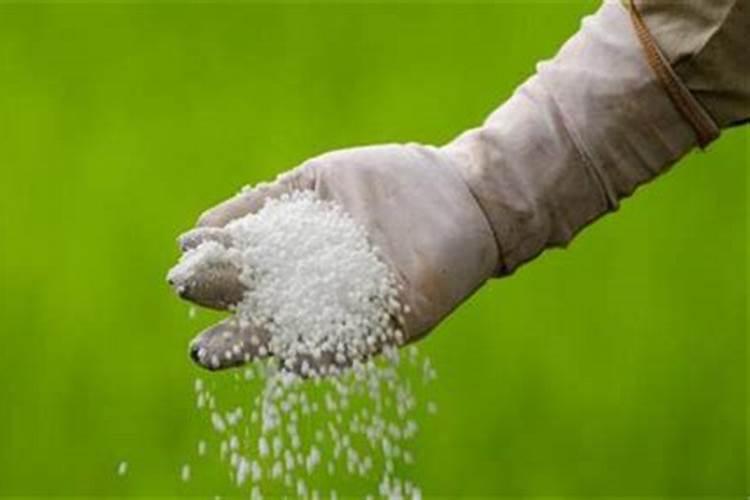 初步区分常用氮肥、磷肥、钾肥的方法是什么