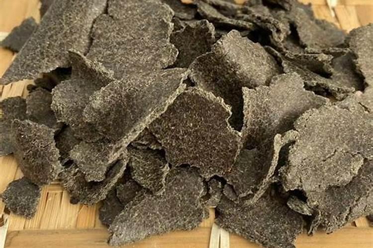 树木长粗用什么肥料