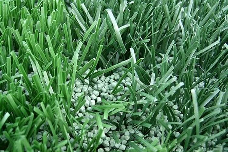 花肥不用买!那如何在家自制“万能肥”呢？