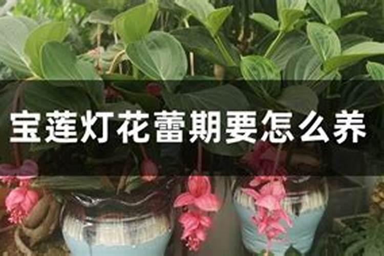病毒农药病毒防治害虫的优势