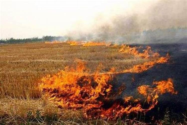 农民为什么烧秸秆