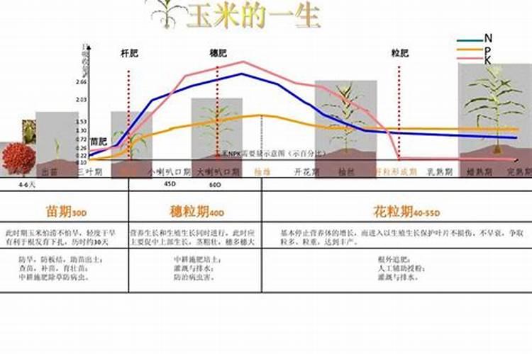葫芦籽几天能发芽