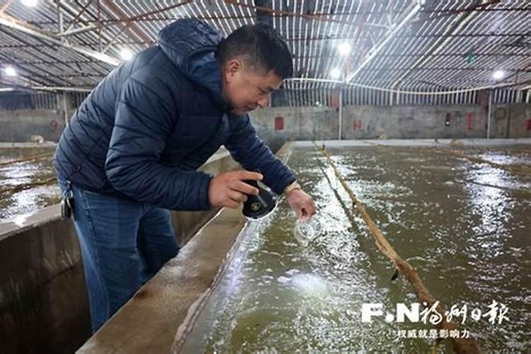 水溶肥的执行标准