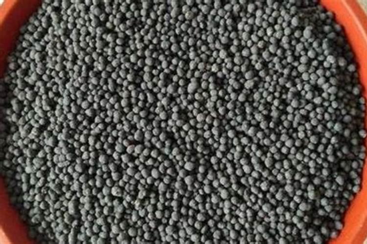 水培花卉用哪些肥