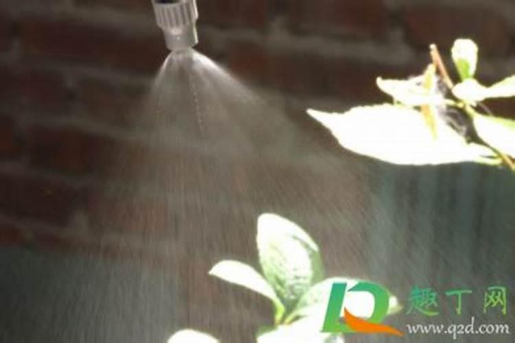 复合肥怎么往花上施肥？