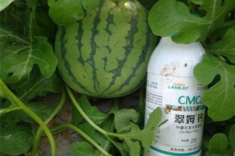 氨基酸叶面肥最好品牌