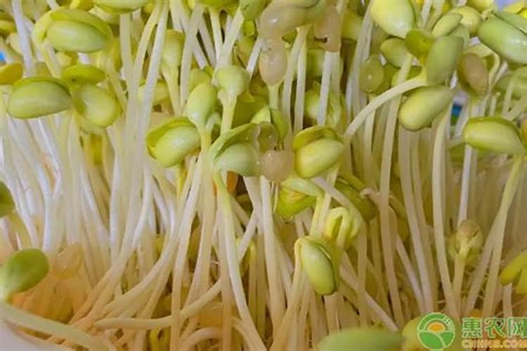 史丹利复合肥多少钱一袋