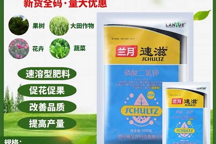 兰花有花苞后要施花多多2号吗