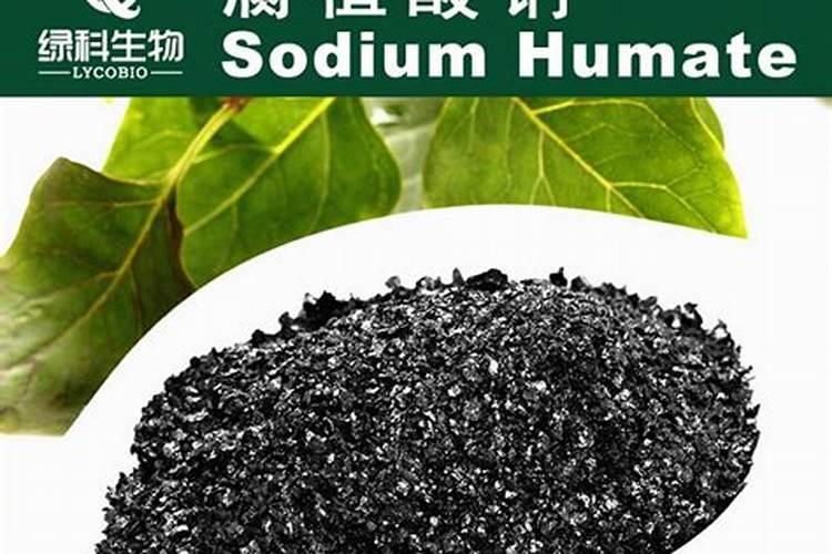 腐植酸钠在水产养殖中的用法