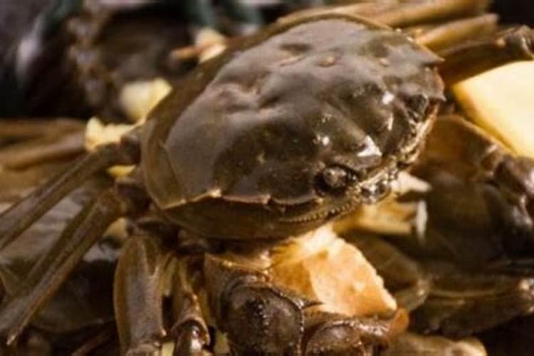 鱼蛋白自制配方比例