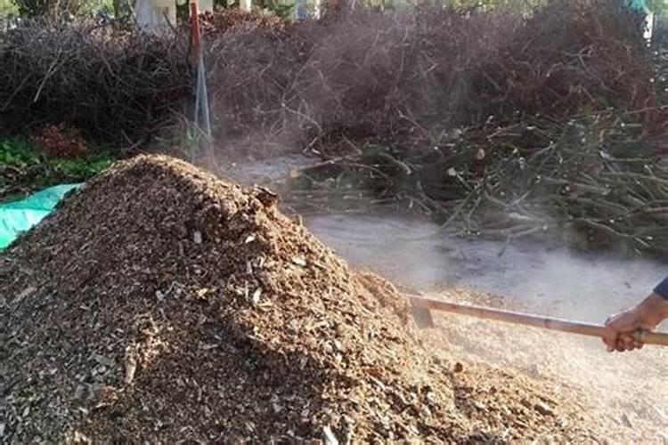 玉米杆垛应该怎么堆？有什么技巧吗？