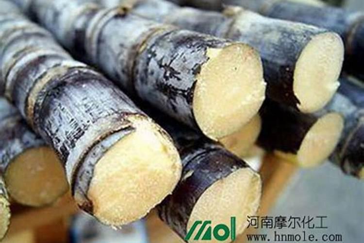 甘蔗施什么肥？