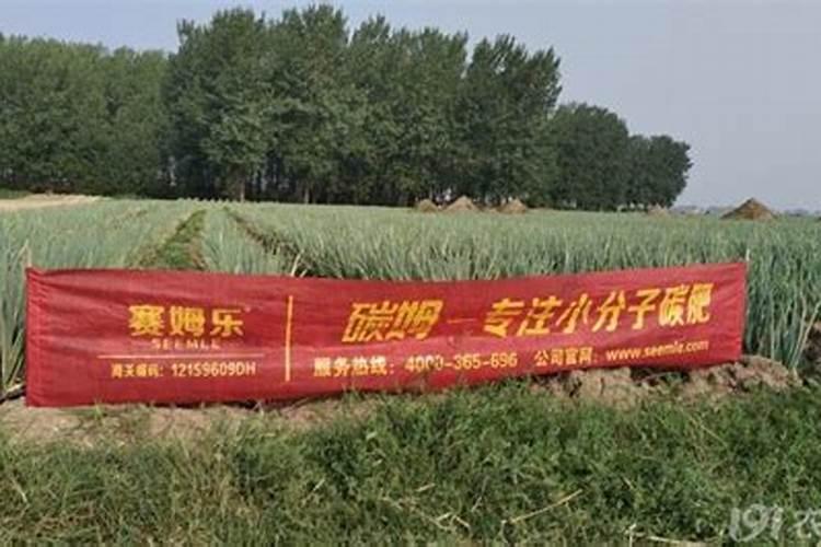 磷肥作用及功能