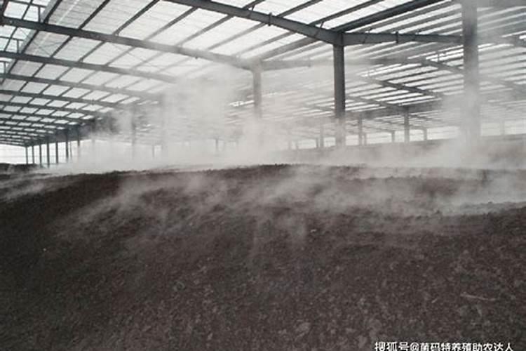 施用镁肥方法是什么？