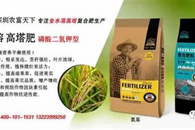 刚种的多肉可以浇生根粉吗