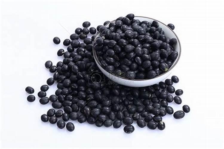 黑豆怎么种植方法