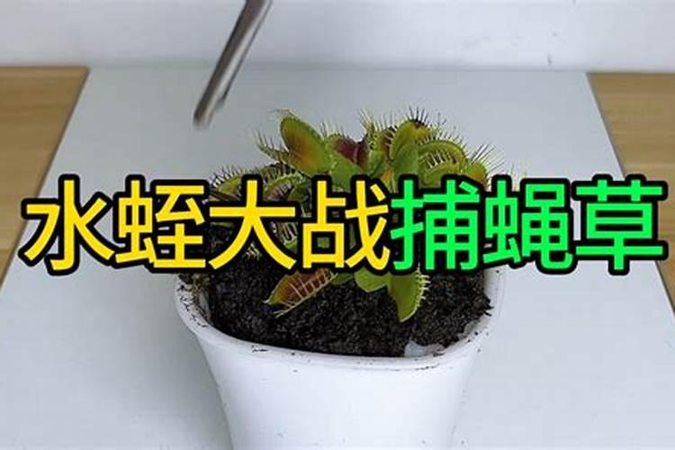 氮磷钾复合肥什么花都可以用吗,可以喷叶面吗