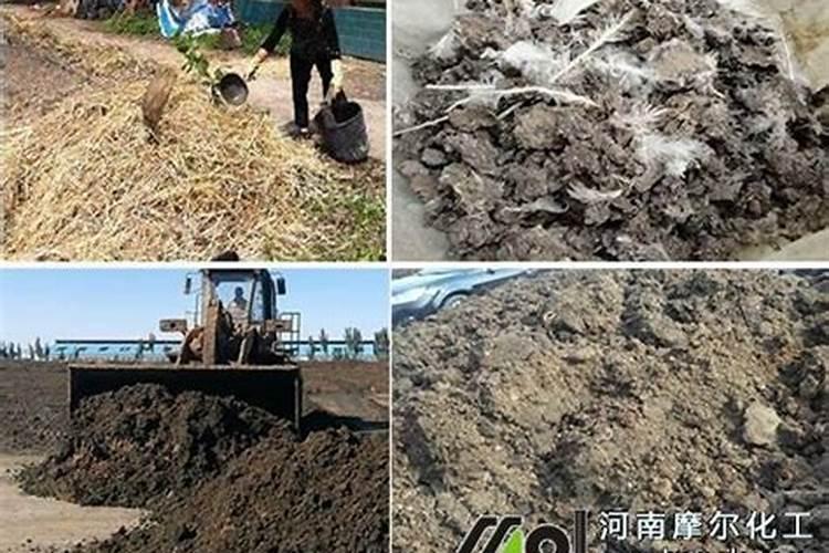 水溶肥菌肥是有机肥吗