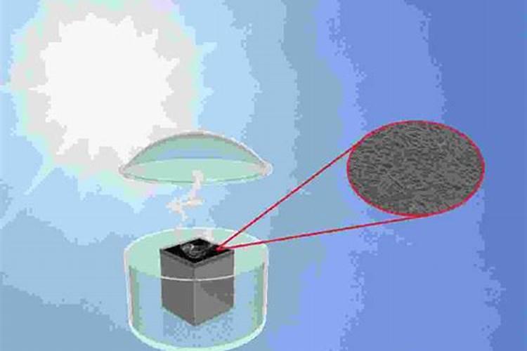 常见的氮肥有哪些,适合哪些植物
