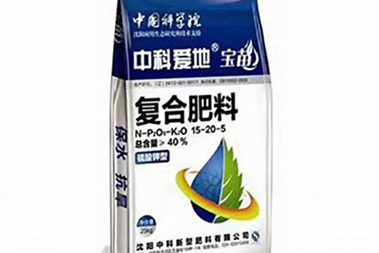 盆栽葫芦的种植方法有什么