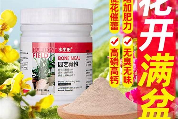 如何养葫芦才长得好看 怎么养葫芦才长得好看