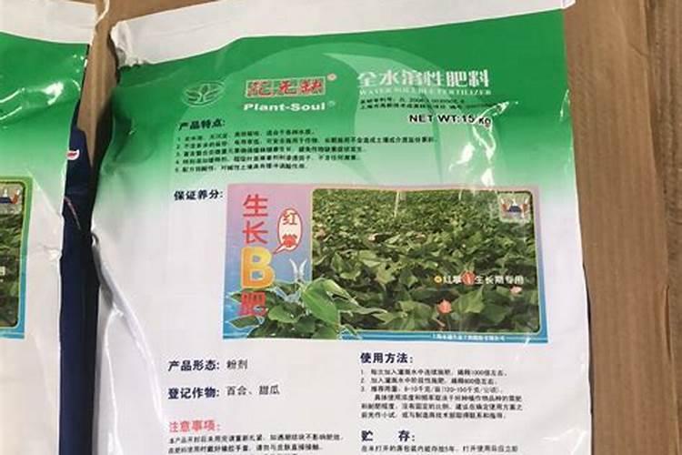盆栽郁金香种植好之后,怎么护理比较好？