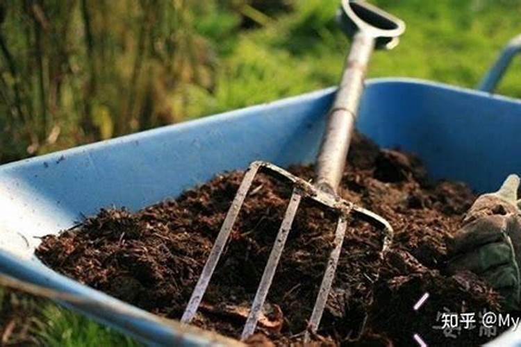 豆浆中的营养成分有哪些？