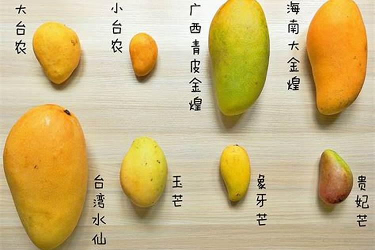 芒果树用什么肥料最好