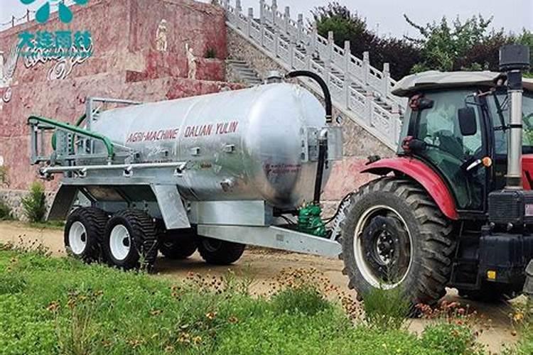 羽毛枫树焦叶怎么治