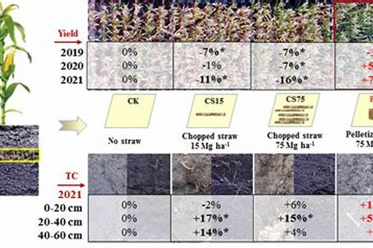 这样给孩子吃益生菌等于白吃,8 大儿童用药混搭误区