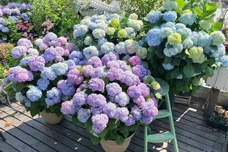 普钙化肥多少钱一吨价格