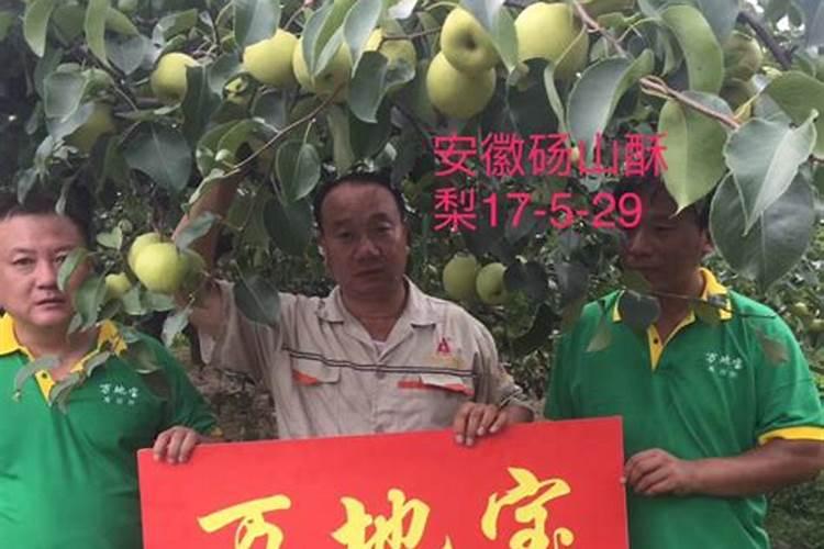 果树想要开花坐果多用磷酸二氢钾多少克