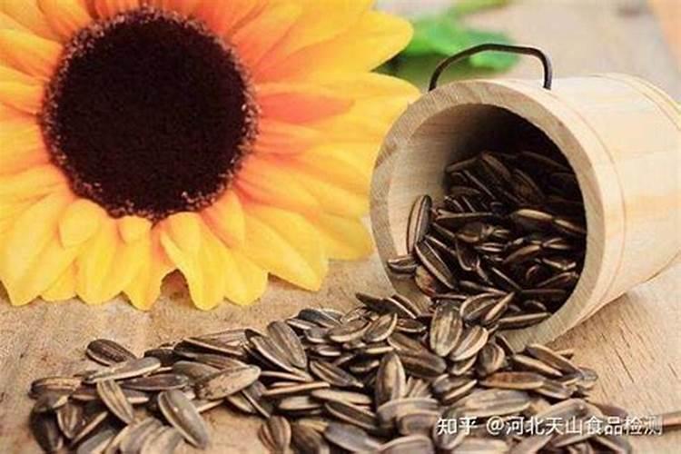 阳光玫瑰葡萄叶片发黄是怎么回事？