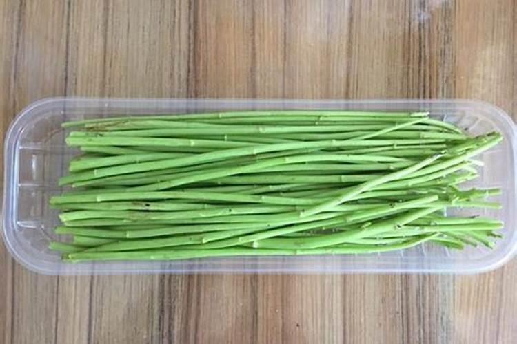 农户栽培芦蒿芽,如何整地与施肥？