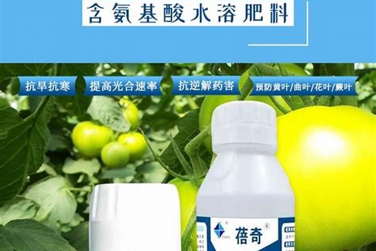 种植物需要哪些肥料