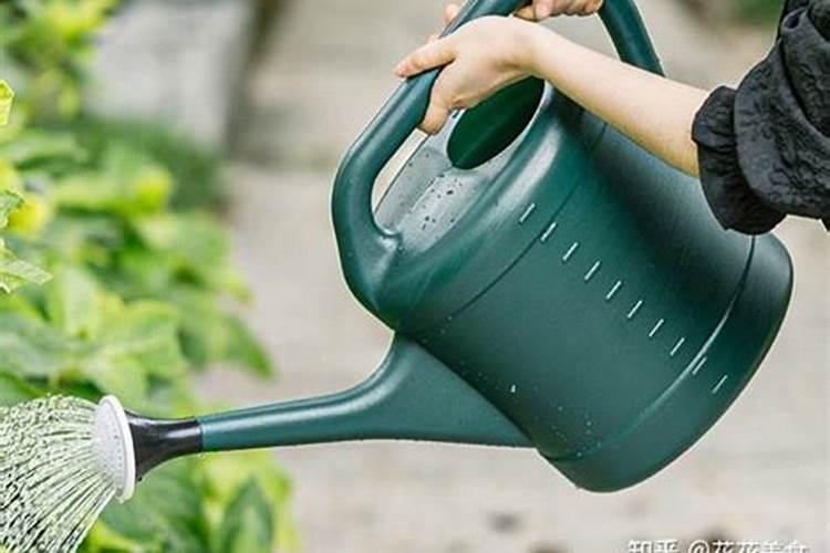 营养液的正确使用方法浇花